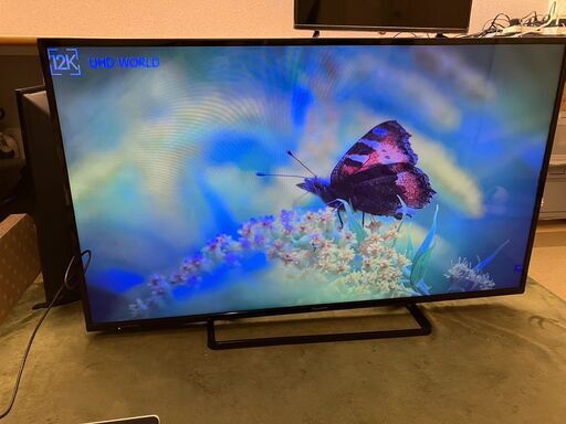 パナソニック 49型 液晶テレビ TH-49D305 少し青い（2）