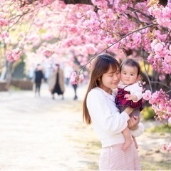 【1/28(日)】沖縄名護市🌸桜撮影会🌸