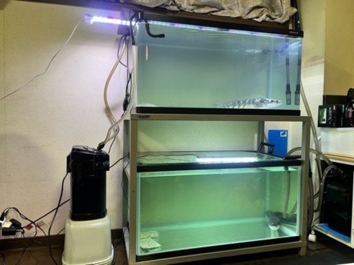 90センチ水槽