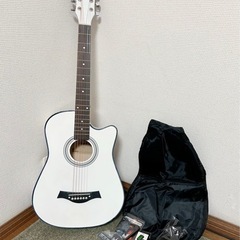 【美品】Aryari アコースティックギター （＋付属品）
