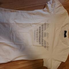 アルマーニ、女性白Tシャツです。値下げしました。
