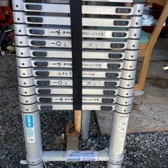 伸縮はしご　99％きれい