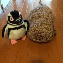 京都水族館 オオサンショウとペンギン