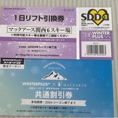マックアース関西6スキー場　1日リフト引換券２枚　おまけ