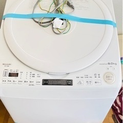 洗濯機 ES-TX8E-W SHARP 2021年式