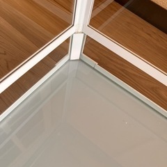 パンテオン6045 ホワイト（譲渡決定しました）