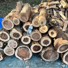 薪ストーブ用薪の原木　針葉樹　杉