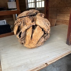 珍しい　希少　大型流木オブジェ　アート
