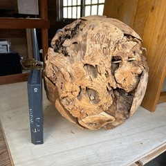 珍しい 希少 大型流木オブジェ アート