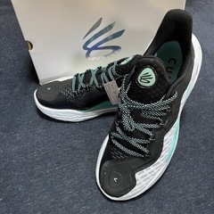 バッシュ　カリー11