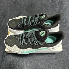 バッシュ　カリー11