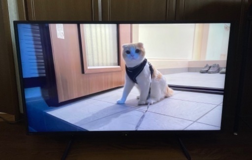 SHARP AQUOS 4T-C42DJ1 2022年製　42V型4K液晶テレビ