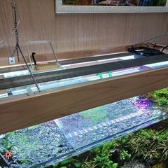 17000円にさらに値下げ水槽LEDライト
