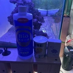 海水水槽60レギュラーフルセット