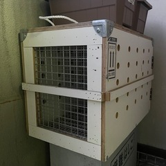 ペット猫犬スーツケース航空輸送ボックス
