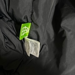 the north face