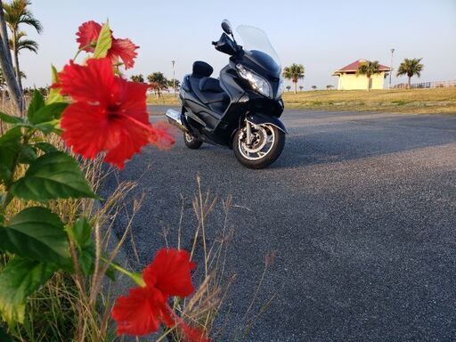 スズキ　スカイウェイブ　250　リミテッド