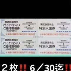 東武動物公園 特別入園券２枚 　アトラクションパス ５００円割引券２枚