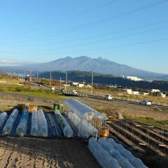 家庭菜園の体験　ボランティアしませんか（2～３名ぐらい）