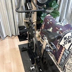 【配送可】HAIGE(ハイガー) 渦電流スピンバイクHG-ZA-...