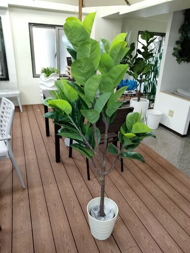 ⑧【処分価格】新品 ゴムの木(180cm)　人工観葉植物 フェイクグリーン インテリア