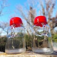 ✰果実酒　瓶✰５L　2瓶セット✰保存容器　梅酒