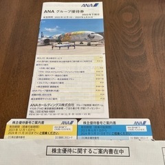 ANA 飛行機　チケット　
