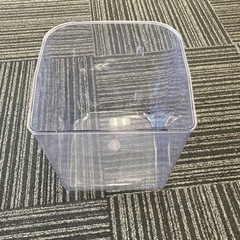 透明のプラ容器
