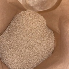 ⚠️能登で収穫されたコシヒカリとカグラモチ(餅米)