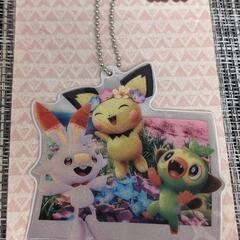 [新品、未使用]　ポケモンスナップ　リフレクター