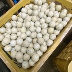 練習用ゴルフボール　1袋500球0円　無料で差し上げます！