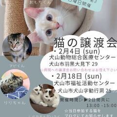 2月18日（日）猫の譲渡会 @犬山市福祉活動センター