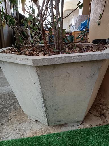 大きめ植木鉢