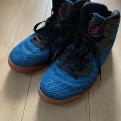NIKE ナイキ　スニーカー　エアージョーダン　spike forty