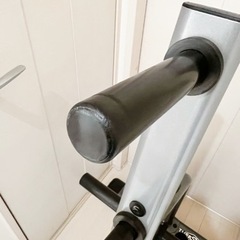 タフスタッフ オリンピックプレートツリー