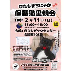 ひたちまちにゃか保護猫里親会(2024/2)