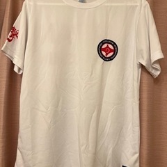 極真空手　開封済　未使用品　Ｔシャツ