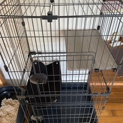 猫用ペットケージ　新品同様！
