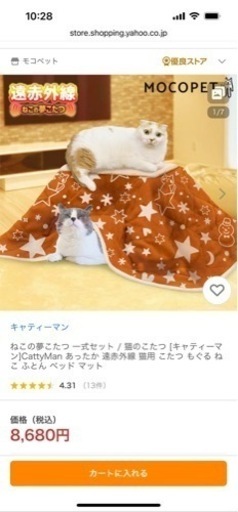 猫　コタツ