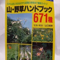 山・野草ハンドブック     古本    定価1980円