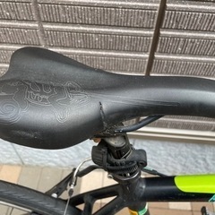 Bianchi  camaleonte　ビアンキ　カメレオンテ（整備済）