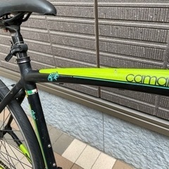 Bianchi  camaleonte　ビアンキ　カメレオンテ（整備済）