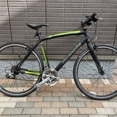 Bianchi  camaleonte　ビアンキ　カメレオンテ（...