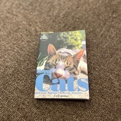 Cats 猫　ねこ　ネコ　ポストカード　はがき　29枚　ゴールデ...