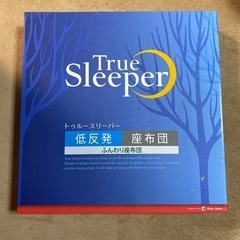 True Sleeper 低反発座布団　トゥルースリーパー