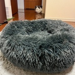 猫用ベッド　直径約55cm