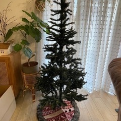 クリスマスツリー差し上げます