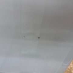 ⭐️Hisense⭐️ハイセンス⭐️2019年式　7.5kg洗濯機　HW-G75A 1004