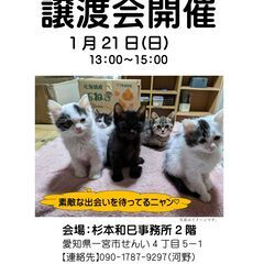 保護猫　hinatabocco 譲渡会開催＆開運わくわくマルシェ...