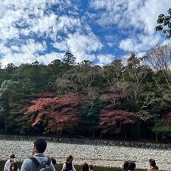 神社参拝行こう - 名古屋市